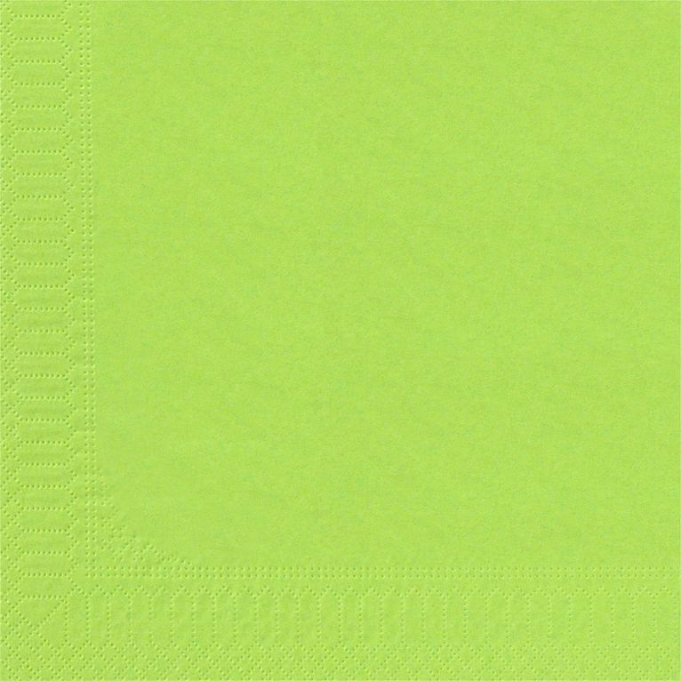 Serviette Ouate Pistache 30x39 /100