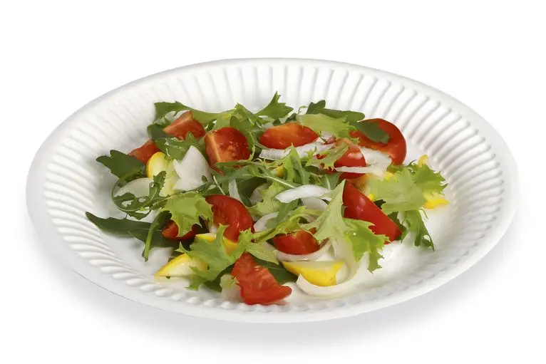 Assiettes Carton 180mm /100