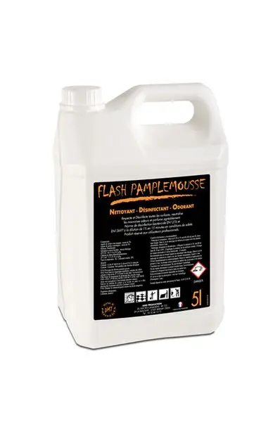 Nettoyant Désinfectant Odorant Flash /5l