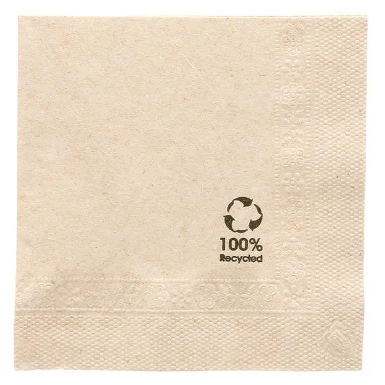 Serviettes Ouate Recyclée Naturelle 20x20 /100