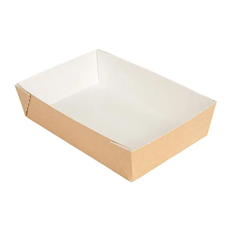 Boïte THhePack Carton Naturel 22x15x5 /200
